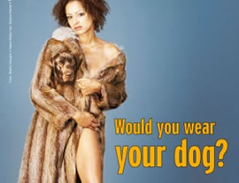 Would you wear your dog? // peta.de