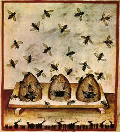 Košnice, srednjovjekovni prikaz (foto: Wikimedia Commons)