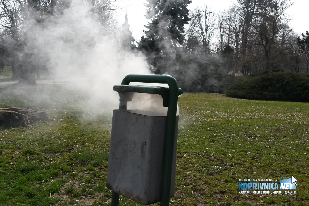 Dim iz kante za otpatke u Gradskom parku // Foto: Koprivnica.net