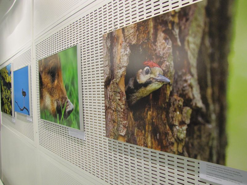 Fotografije prikazuju biološku raznolikost Hrvatske Amazone / Foto: Hrvatska pošta