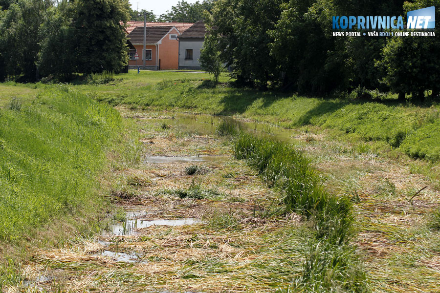Zagađenje potoka Gliboki u Torčecu