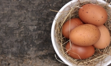 Svježa jaja (foto: FreeDigitalPhotos)