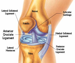 liječenje artroze koljena voltarenom)