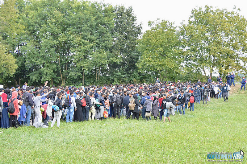 Izbjeglice prelaze granicu Hrvatske i Mađarske kod Botova // Foto: Arhiva Koprivnica.net
