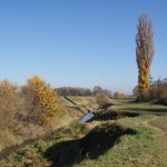 Prirodni krajolik potoka Gliboki