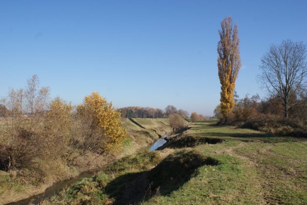 Prirodni krajolik potoka Gliboki