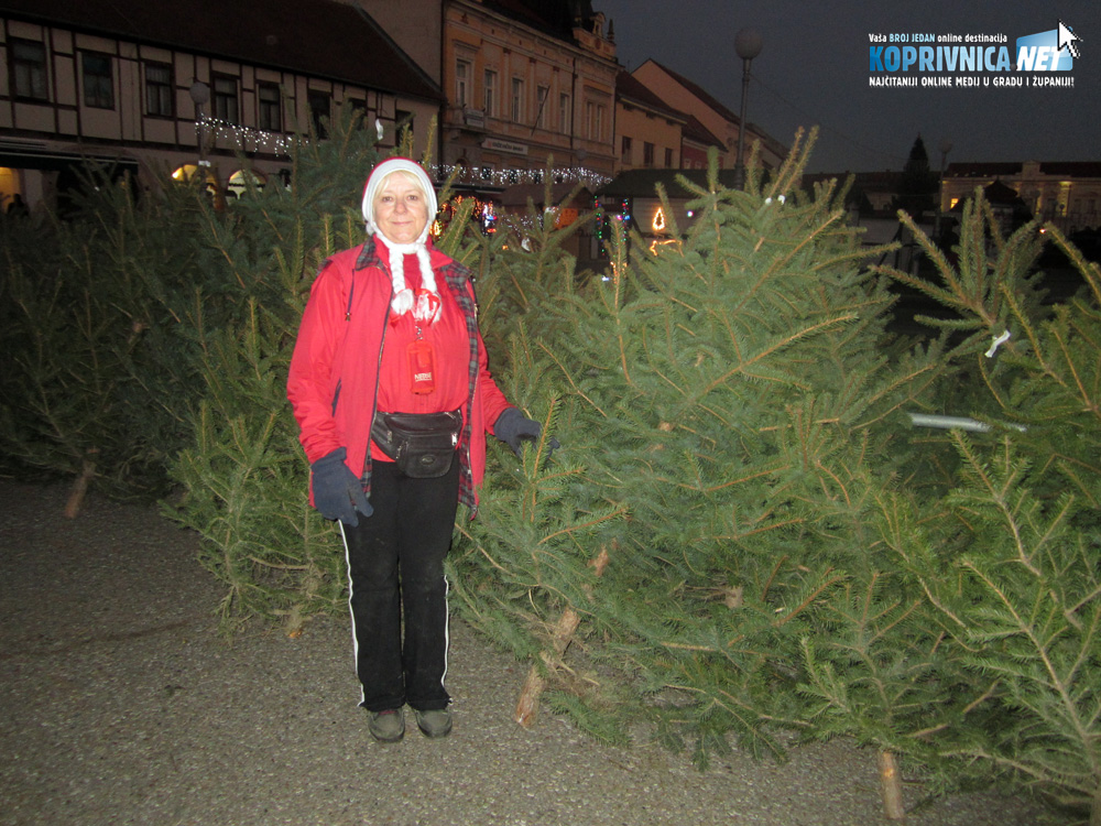Prodaja božićnih drvca // Foto: Arhiva
