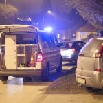 Prometna nesreća Starogradska Koprivnica