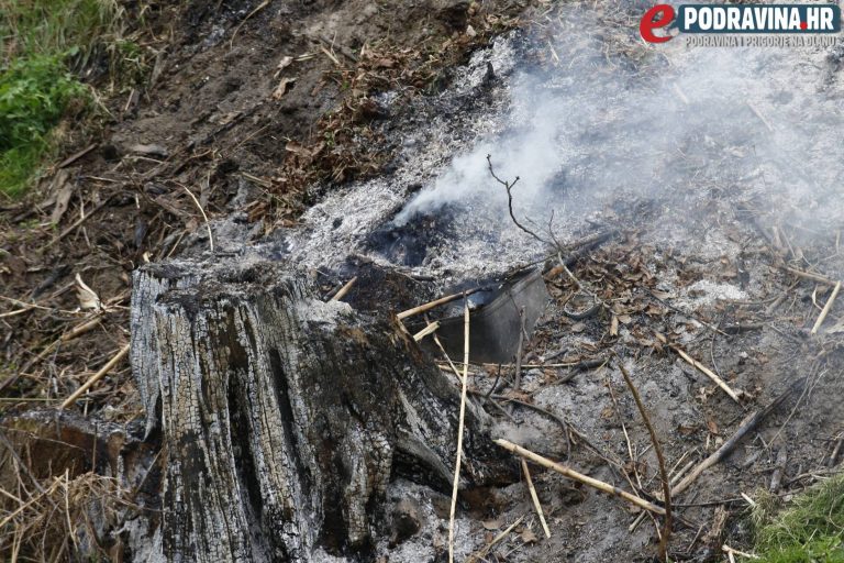 Spaljivanje granja može dovesti do požara. Da se to ne bi dogodilo, ovo su četiri mjere kojih se valja držati