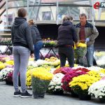 Prodaja cvijeća