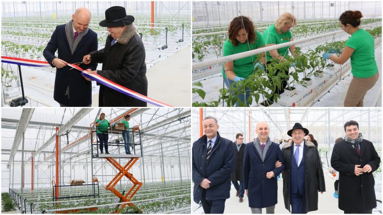 [FOTO] Ministar Tolušić svečano otvorio KTC-ove plastenike za uzgoj rajčice, I. Katavić: Davno smo shvatili da ni Nizozemac ni Danac ne mogu proizvesti nešto što ne bi mogli i mi