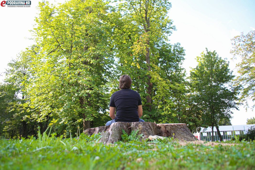 Drvocid u parku, Koprivnica // Foto: Matija Gudlin