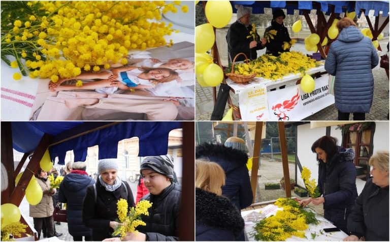 FOTO Brojni građani pokazali veliko srce i kupovali mimoze u znak borbe protiv opake bolesti