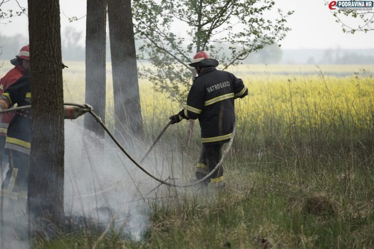 FOTO Izgorjela suha trava i raslinje kod Hlebina, policija još traži krivca za požar