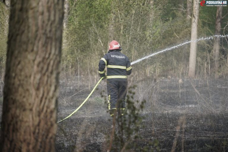 FOTO Požar zahvatio šumu kod Hlebina, vatrogasne ekipe su na terenu