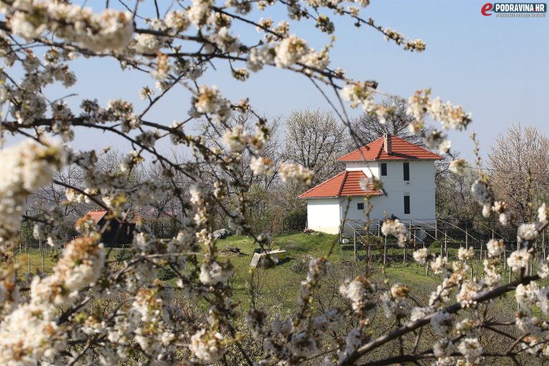 Galovićevu klet obavilo proljeće