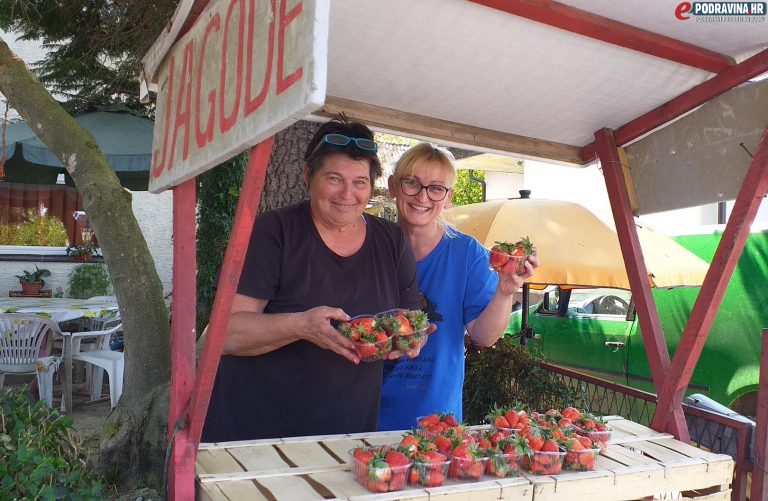 FOTO Kada jednom probate jagode iz Čukovca, zaboravit ćete na druge! Bili smo na berbi slatkih plodova u poznatom selu