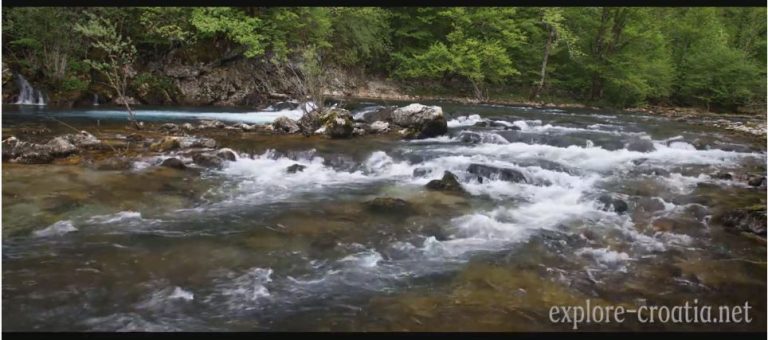 VIDEO Kupa, jedna od naših najraznovrsnijih rijeka, krije prekrasne prizore gole prirode