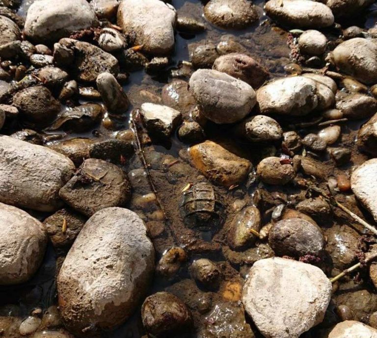 U Podravini uz rijeku pronađena i uništena ručna bomba, bila je u vrlo lošem stanju