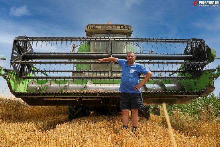 FOTO Žetva pšenice u punom jeku, poljoprivrednik Stjepan Antolić: Kvaliteta i cijena su solidni, no strahovito se bojim za kukuruz