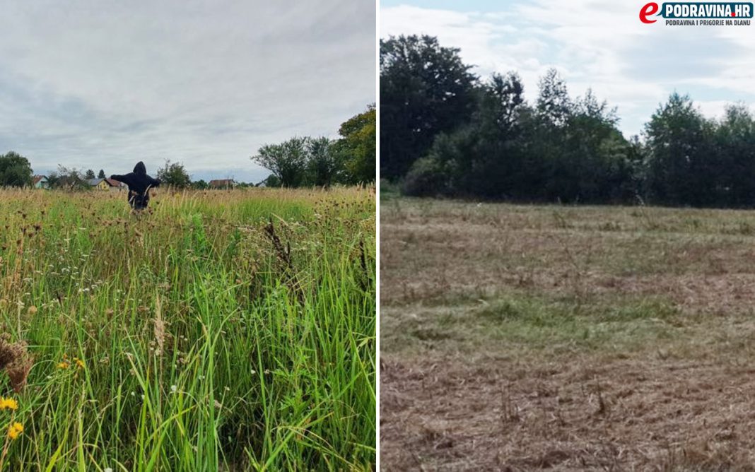 Parcela prije i poslije košnje trave
