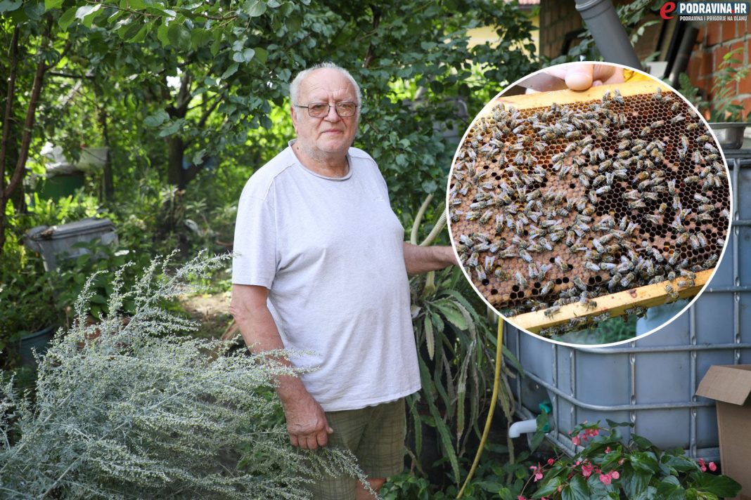 Tomislav Vrban, pčelar
