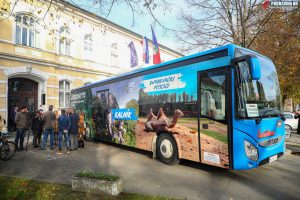 Županija, autobus