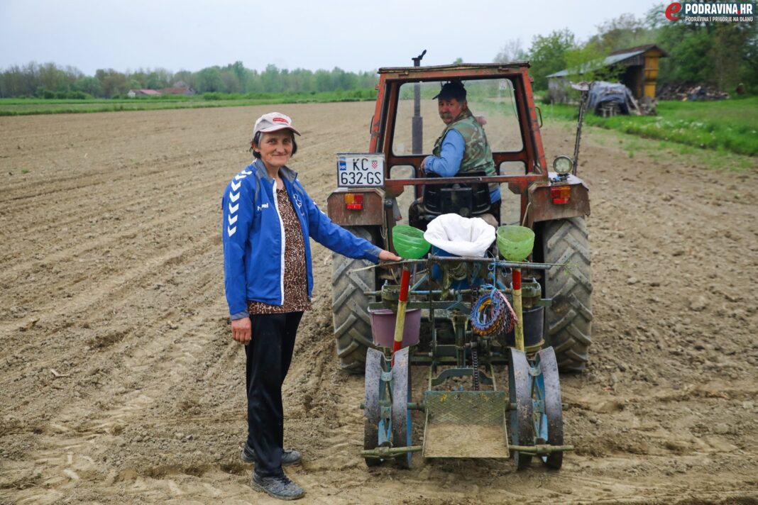 Traktor, polje