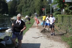 Šoderica, Čišćenje