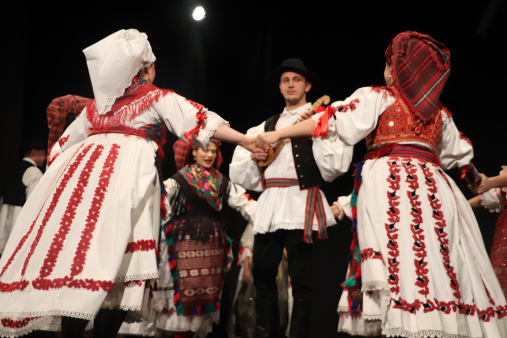 Folklorni ansambl Koprivnica, koncert