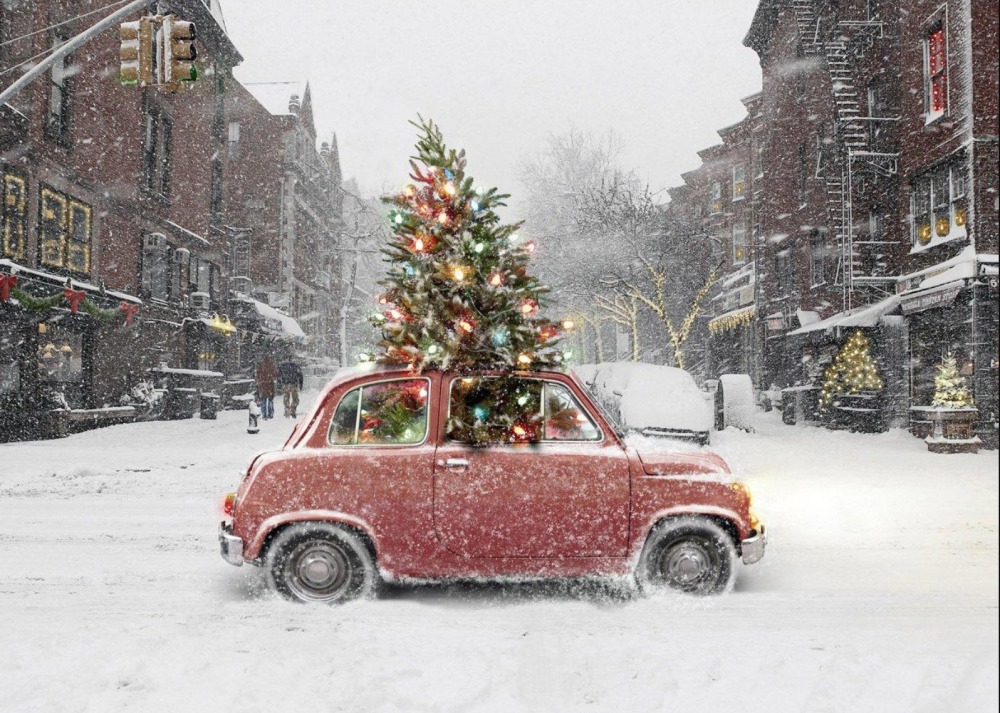 božić, božićno drvce, snijeg