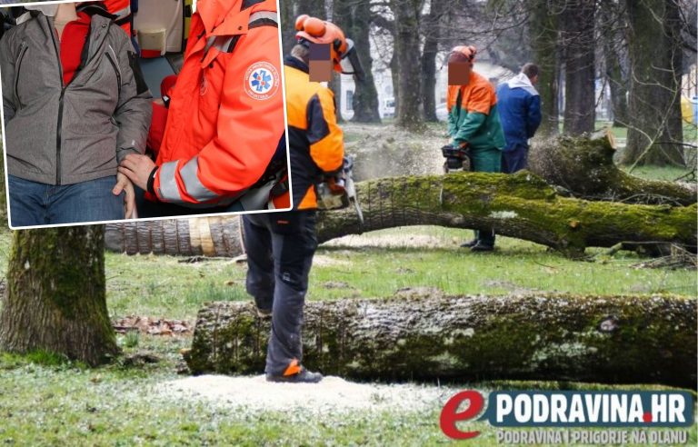 Radnik im umalo poginuo kod Lepavine, Hrvatske šume: Sam si je kriv, rekao je da mu se žuri na sprovod
