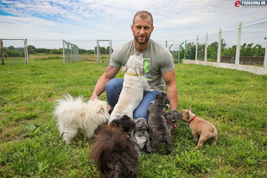 Siniša, Francuski Buldog, Pomeranci