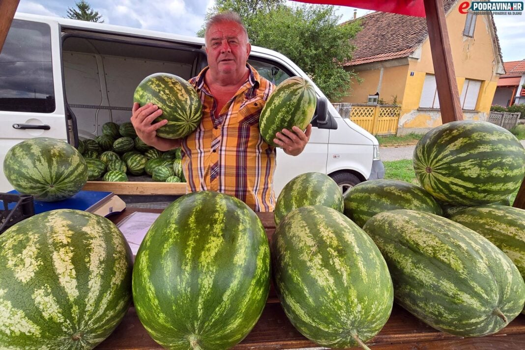 Jovo Obranović i njegove lubenice