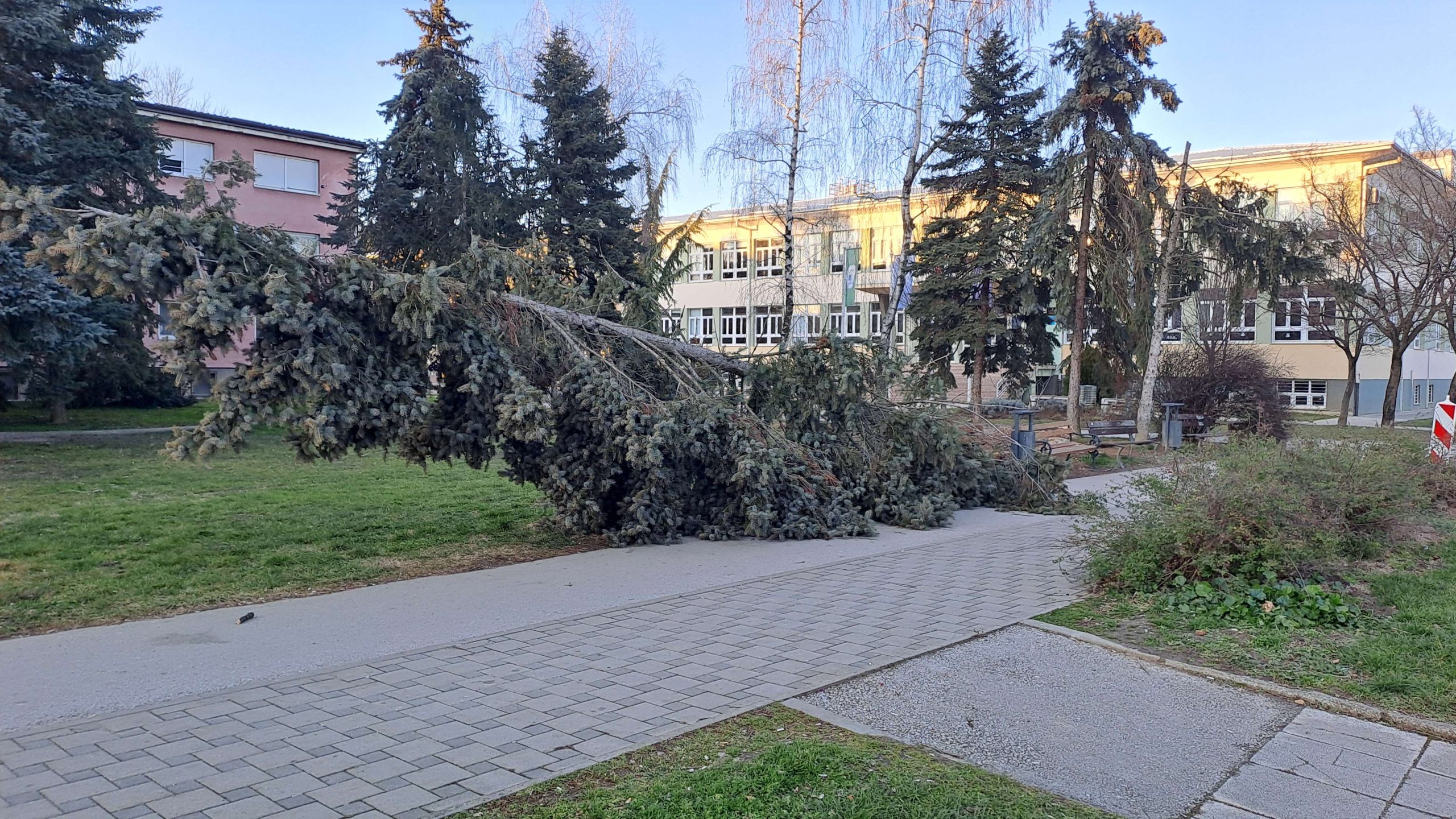 park kraj škola